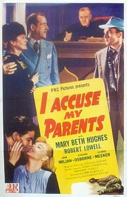 I Accuse My Parents poster