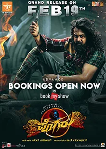 Pogaru poster