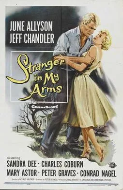 A Stranger in My Arms poster