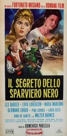 The Secret of the Black Falcon poster