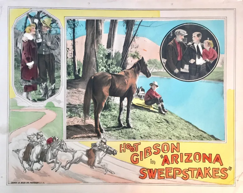 The Arizona Sweepstakes poster