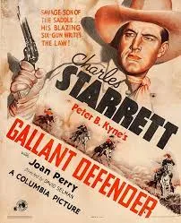 Gallant Defender poster