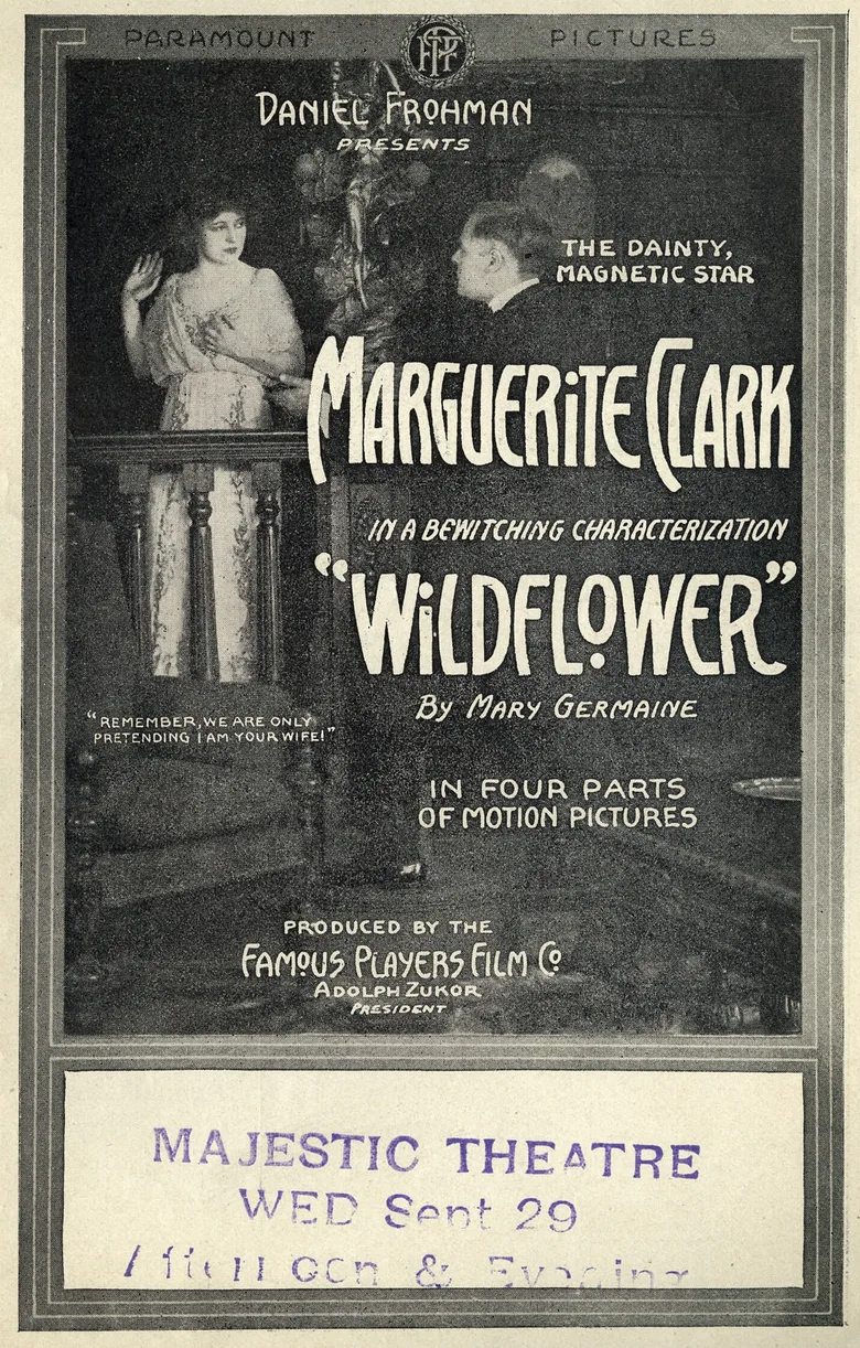 Wildflower poster