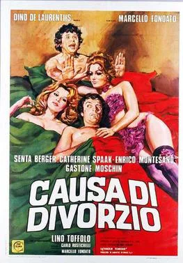 Cause of Divorce poster