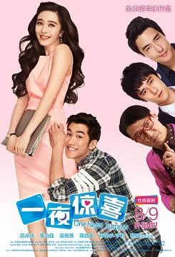 One Night Surprise poster