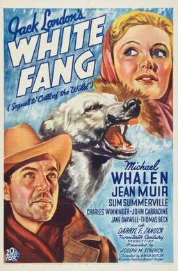 White Fang poster