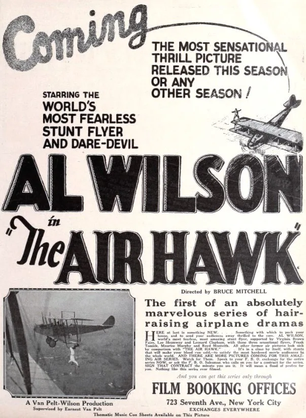 The Air Hawk poster