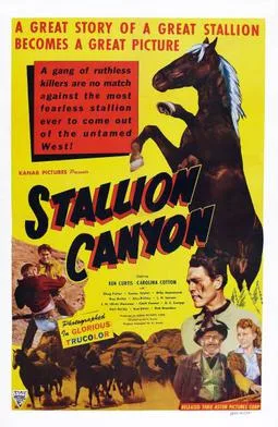 Stallion Canyon poster
