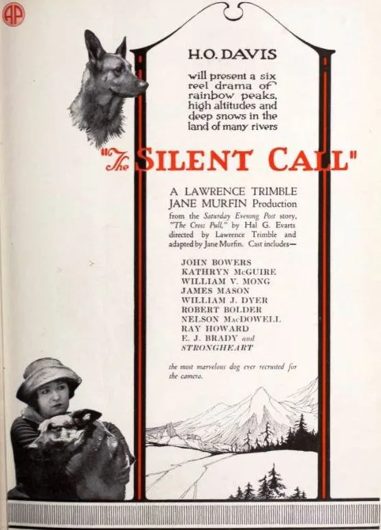 The Silent Call poster