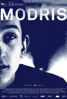 Modris poster