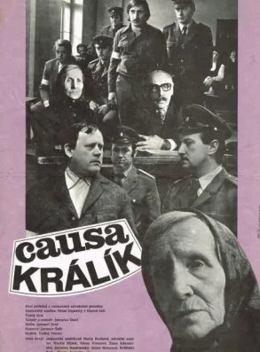 The Rabbit Case poster