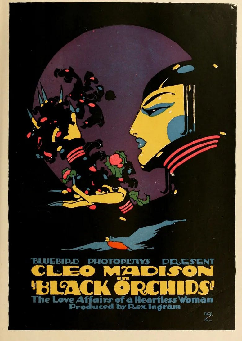 Black Orchids poster