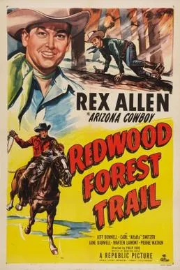 Redwood Forest Trail poster
