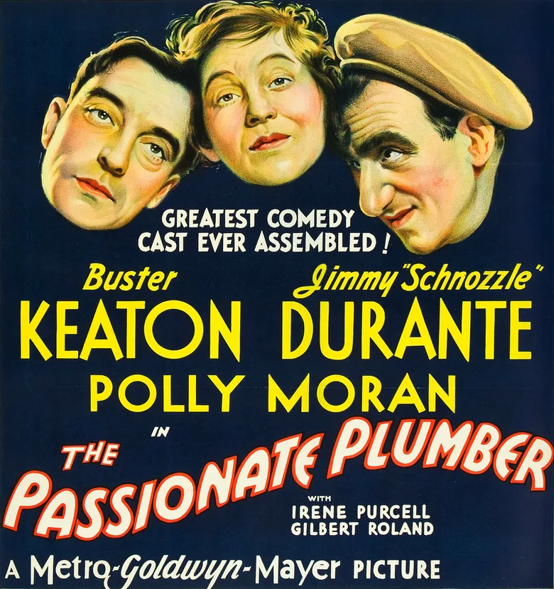 The Passionate Plumber poster
