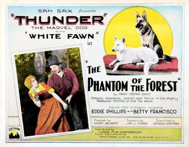 The Phantom of the Forest poster
