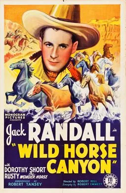 Wild Horse Canyon poster