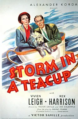 Storm in a Teacup poster