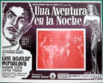 Adventure in the Night poster