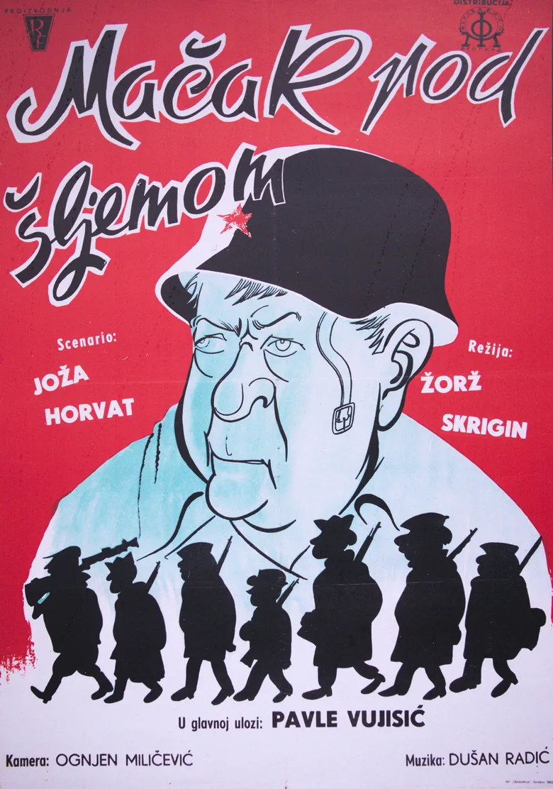 Mačak pod šljemom poster