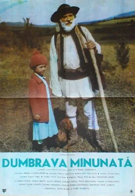 Dumbrava minunata poster