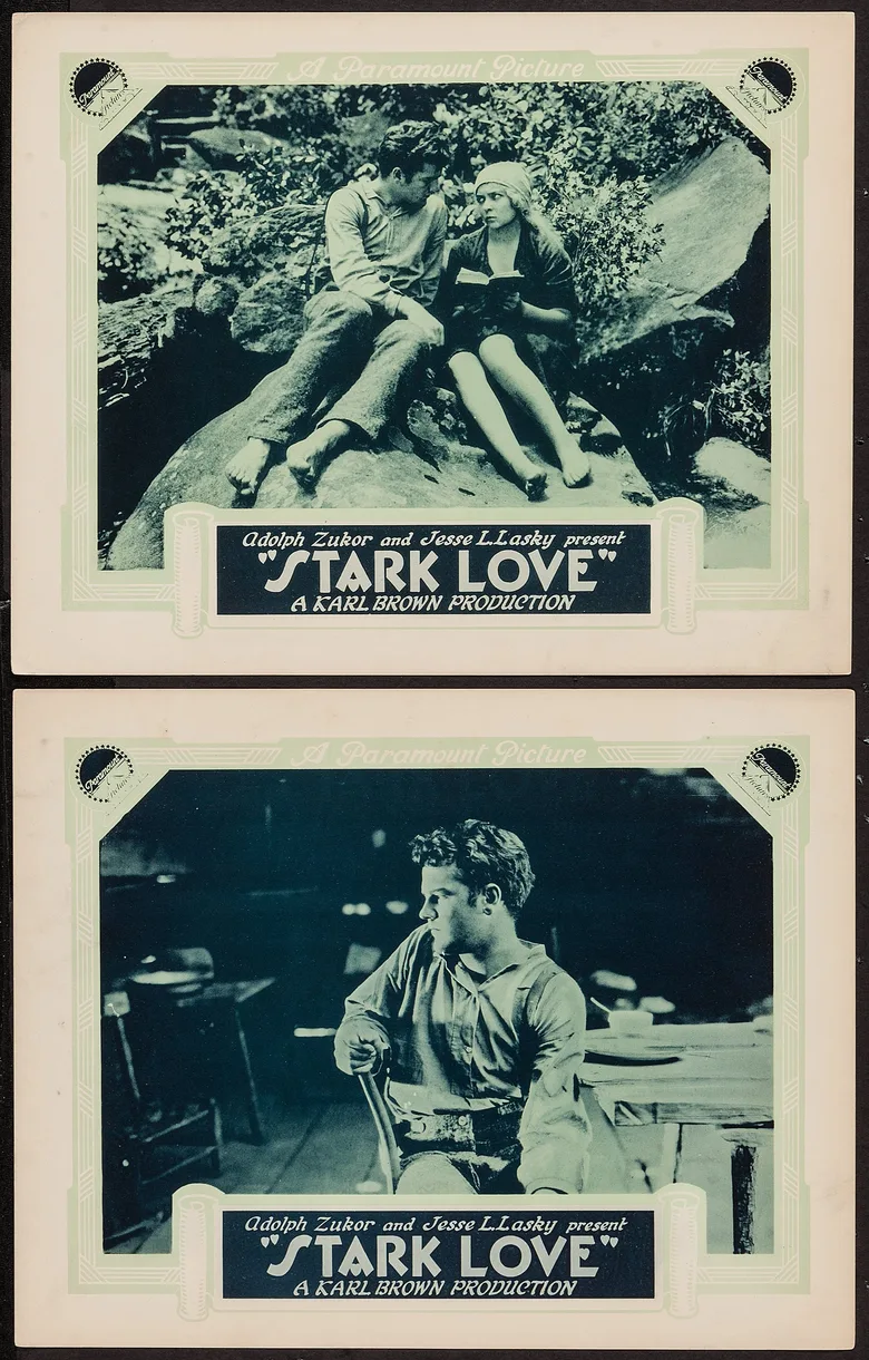 Stark Love poster