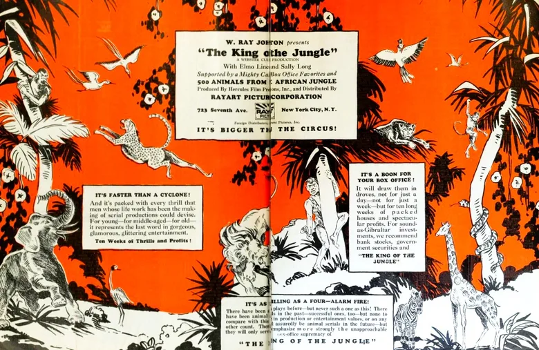 King of the Jungle poster