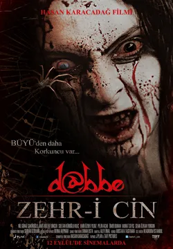 Dabbe: Zehr-i Cin poster