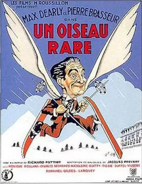A Rare Bird poster