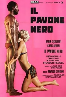 Voodoo Sexy poster