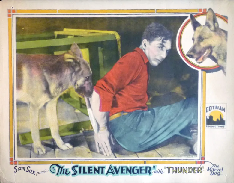 The Silent Avenger poster
