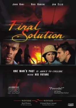Final Solution poster