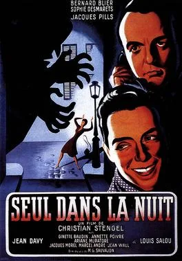 Seul dans la nuit poster