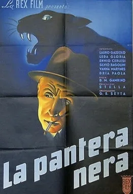 The Black Panther poster