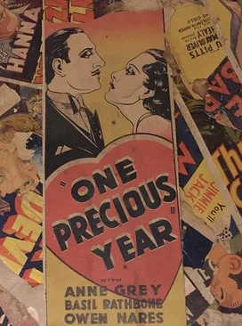 One Precious Year poster