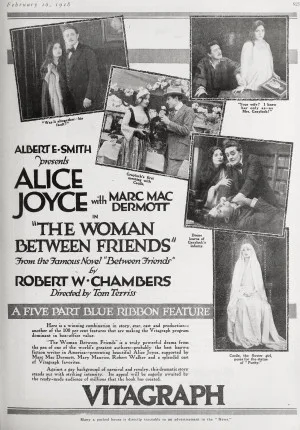 The Woman Between Friends poster