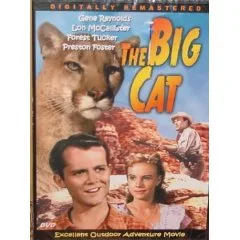 The Big Cat poster