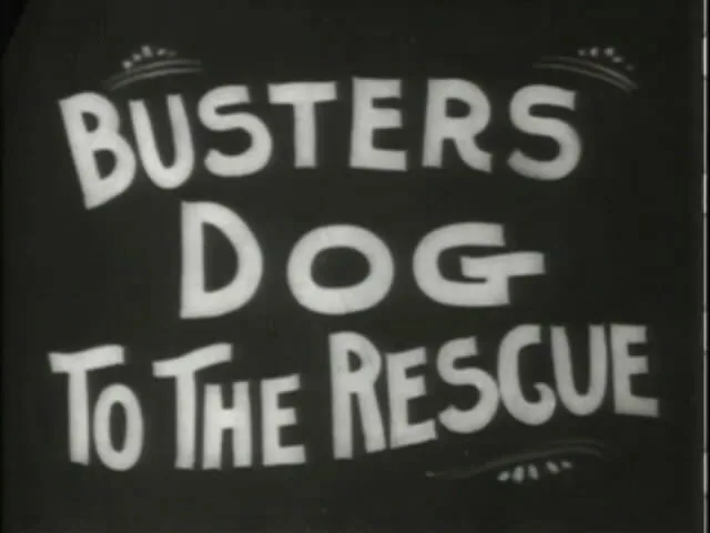 Buster's Dog to the Rescue poster