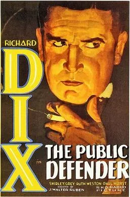 The Public Defender poster