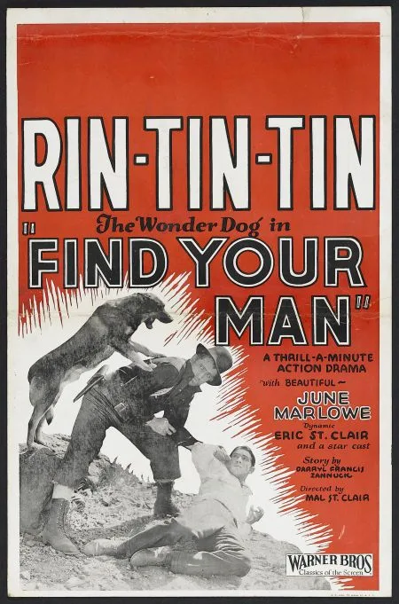 Find Your Man poster