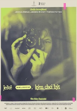 I’m not Everything I Want to Be poster