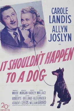 It Shouldn't Happen to a Dog poster