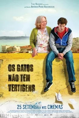 Os Gatos Não Têm Vertigens poster