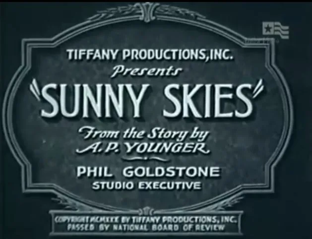 Sunny Skies poster