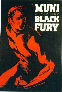 Black Fury poster