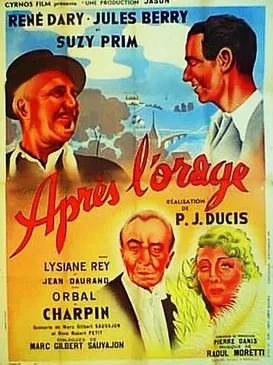 After the Storm poster