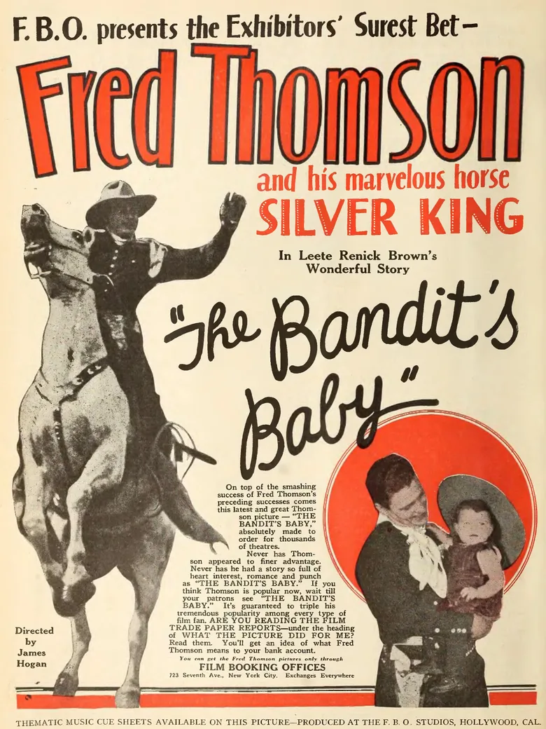 The Bandit's Baby poster