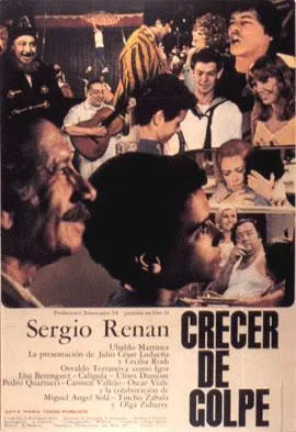 Crecer de golpe poster