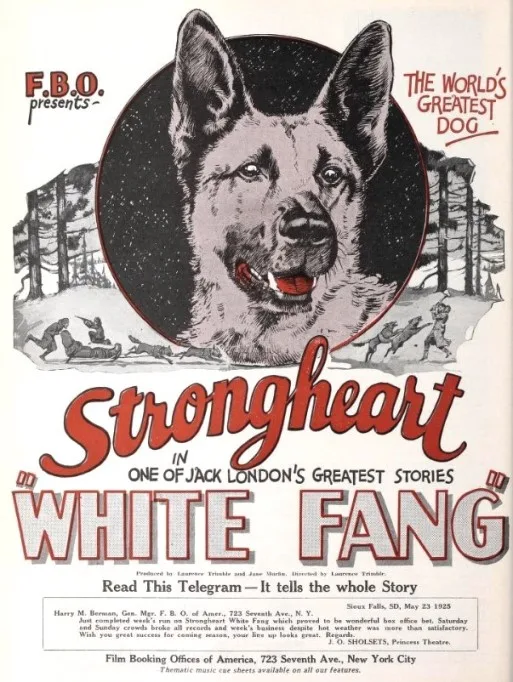 White Fang poster