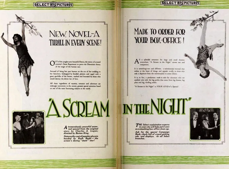 A Scream in the Night poster