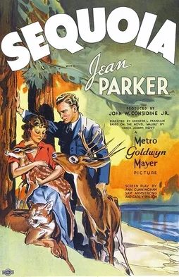 Sequoia poster